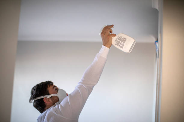 Best Commercial Mold Removal  in Seeley Lake, MT